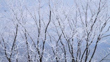 Морозы до –35°C и снежный шторм на юге: погода в Казахстане 24 февраля