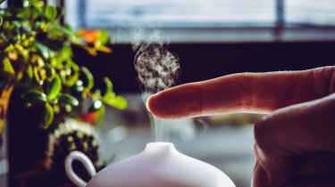 Как сухой воздух убивает ваш иммунитет: советы терапевта