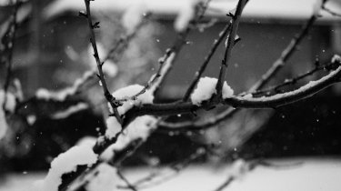 Сильный снег выпадет в Алматы: прогноз погоды в РК на 28 февраля