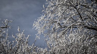 Сильные ливни на юге и ледяной дождь на севере: прогноз в РК на 4 марта