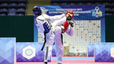 Казахстан завоевал 15 медалей на турнире по таеквондо