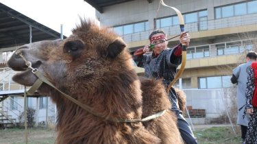 Лучница на верблюде из Казахстана установила мировой рекорд