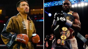 В Европе призвали лишить Жанибека Алимханулы статуса в боксе