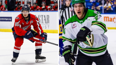 Хоккеисты из Казахстана сыграют в полуфинале плей-офф в Северной Америке