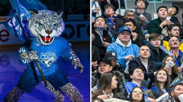 Ледовая палитра против Мишкопада: почему фанаты «Барыса» недовольны клубом