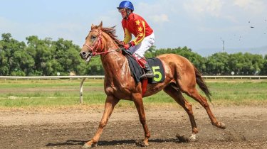 Легендарный скакун Чарын из Казахстана завершил карьеру