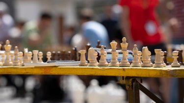 Казахстанские шахматисты завоевали 33 медали на чемпионате Центральной и Северной Азии