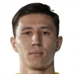 Шушеначев