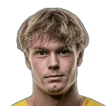 Нильсен